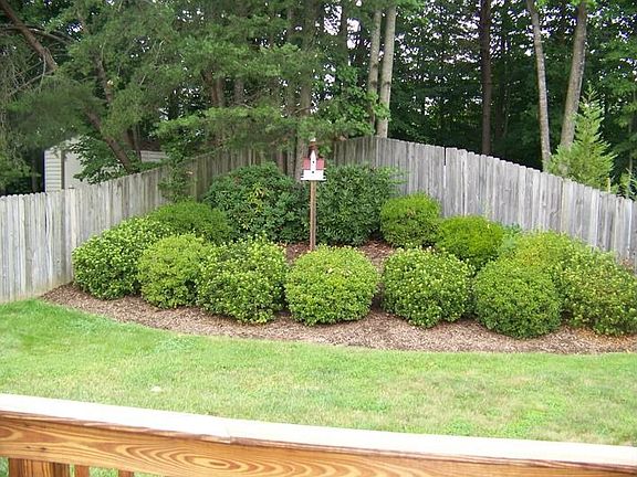 Professionally Landscaping