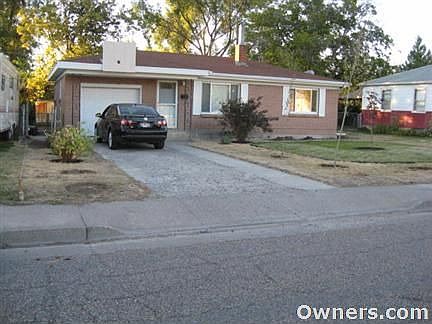 Lots of shade and privacy in the backyard