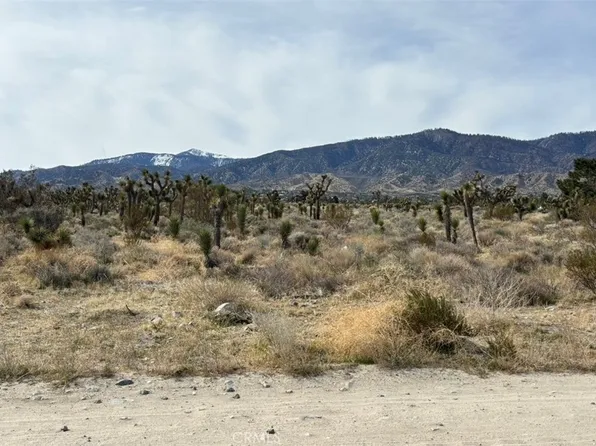 0 Mono Rd Lot 42, Pinon Hills, CA 92372