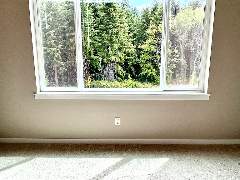 View of trees from second bedroom