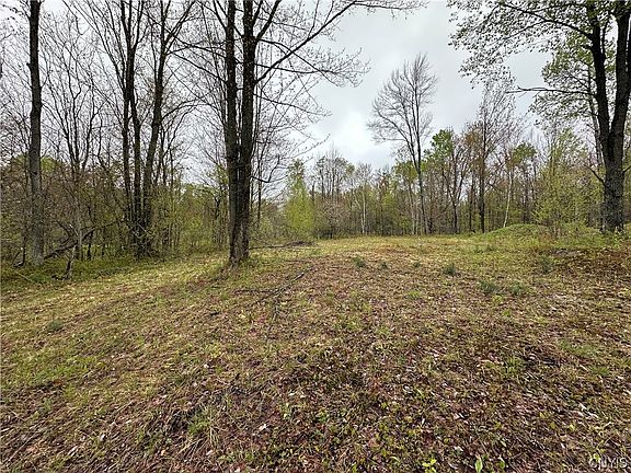 5th image of 4815 Texas Rd Lot 35