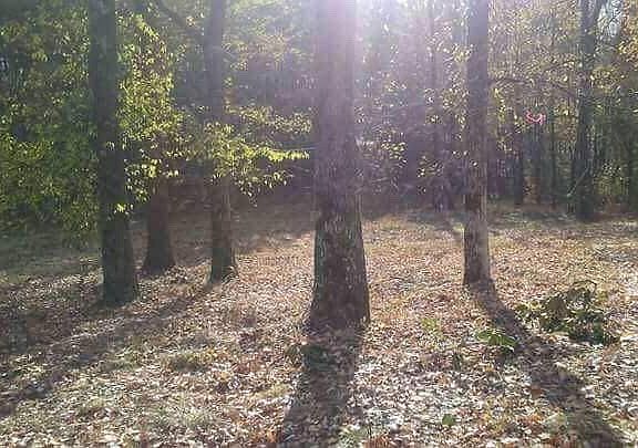 2nd image of 137 County Road 42