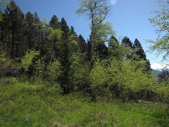 3rd image of Tbd Grizzly Meadows Rd