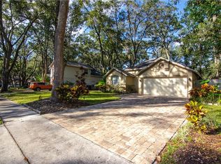 4511 Hidden Shadow Dr, Tampa, FL 33614