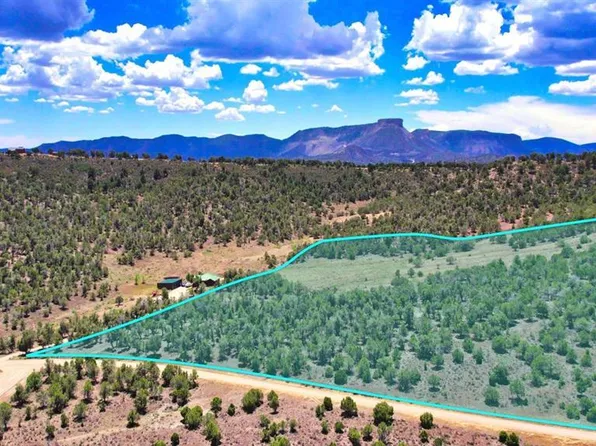 0 Road 35 Road, Mancos, CO 81328