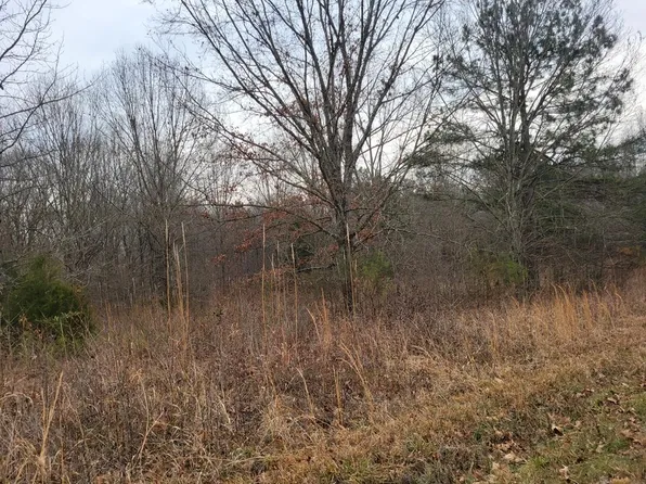 0 Old Union Loop, Springville, TN 38256