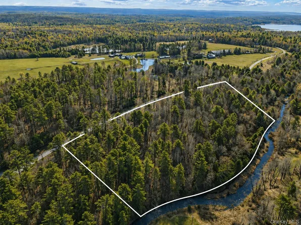 Chapin Trail, White Lake, NY 12786