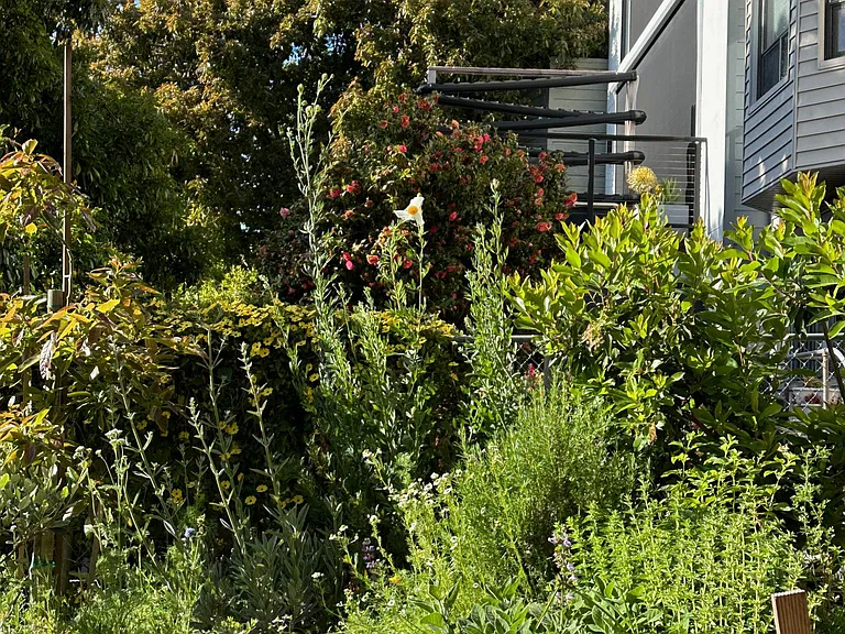672 Hampshire St — Photo 15