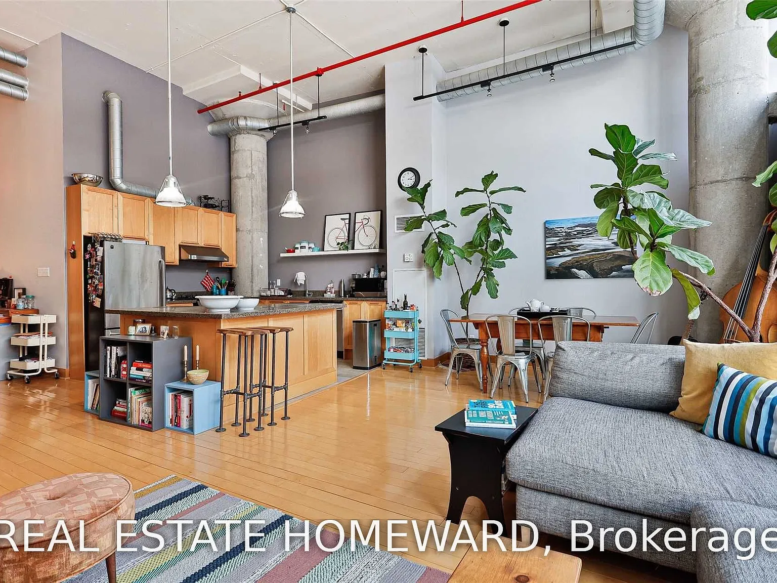 1 bed, $3,800 — Photo 3