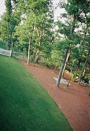 Backyard1