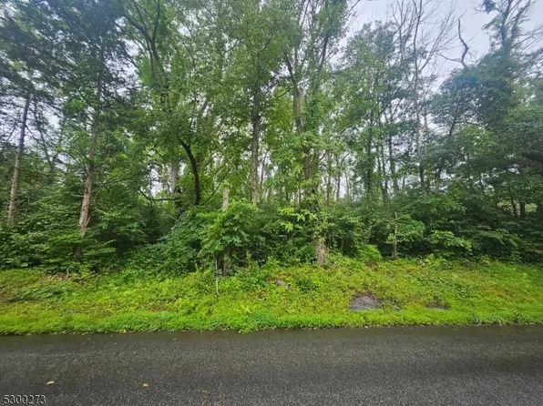 33 Rubin Hill Rd, Montague Twp., NJ 07827