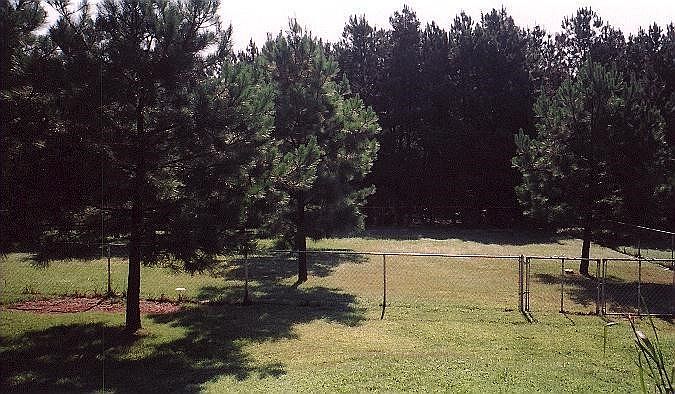 2nd image of 410 Ellis Rd