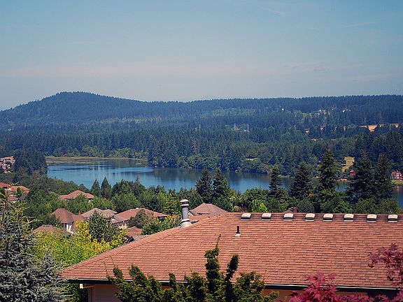 Lacamas Lake View