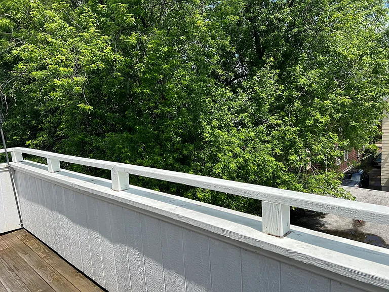 66 Cameron Ave #3 — Photo 9