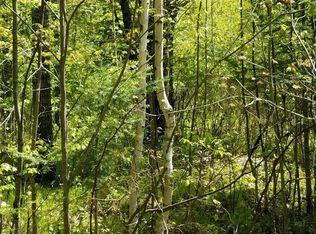 Greene Dr, Tripoli, WI 54564