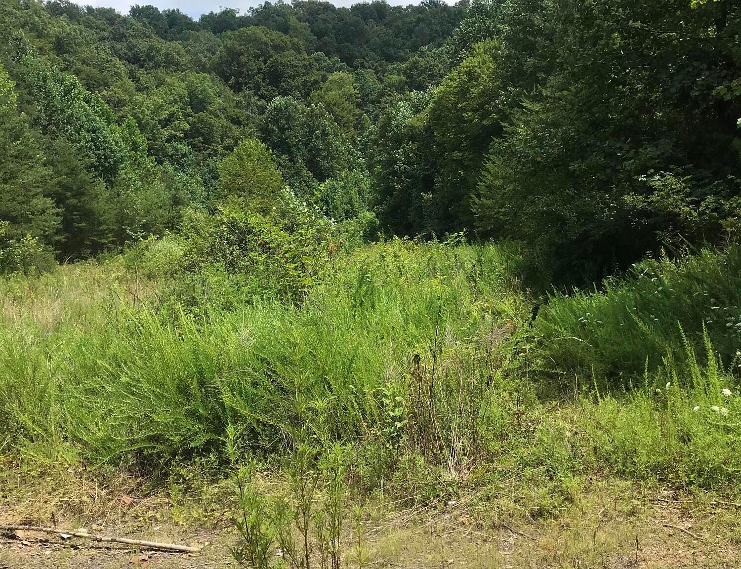 4575 Highway 638 Manchester KY 40962 Zillow 4575-highway-638-manchester-ky-40962-zillow