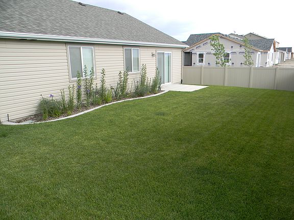 Back yard