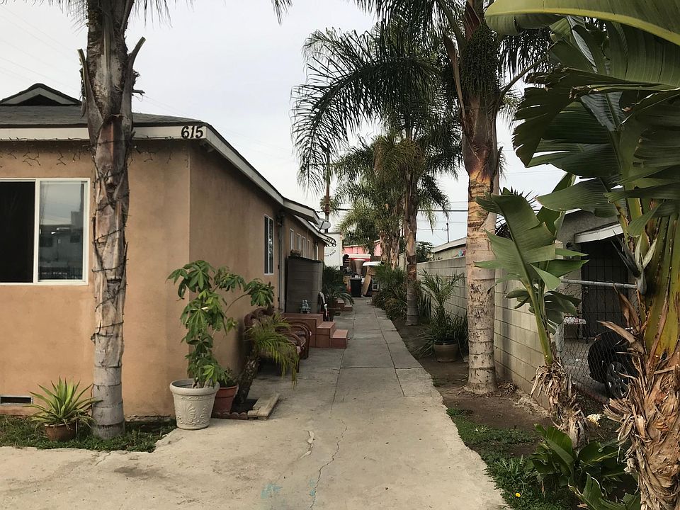 Palm tree lined property
