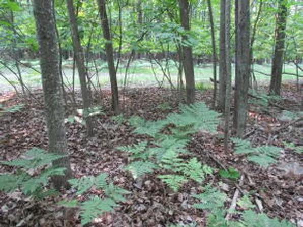 Garfield Blvd, Roscommon, MI 48653