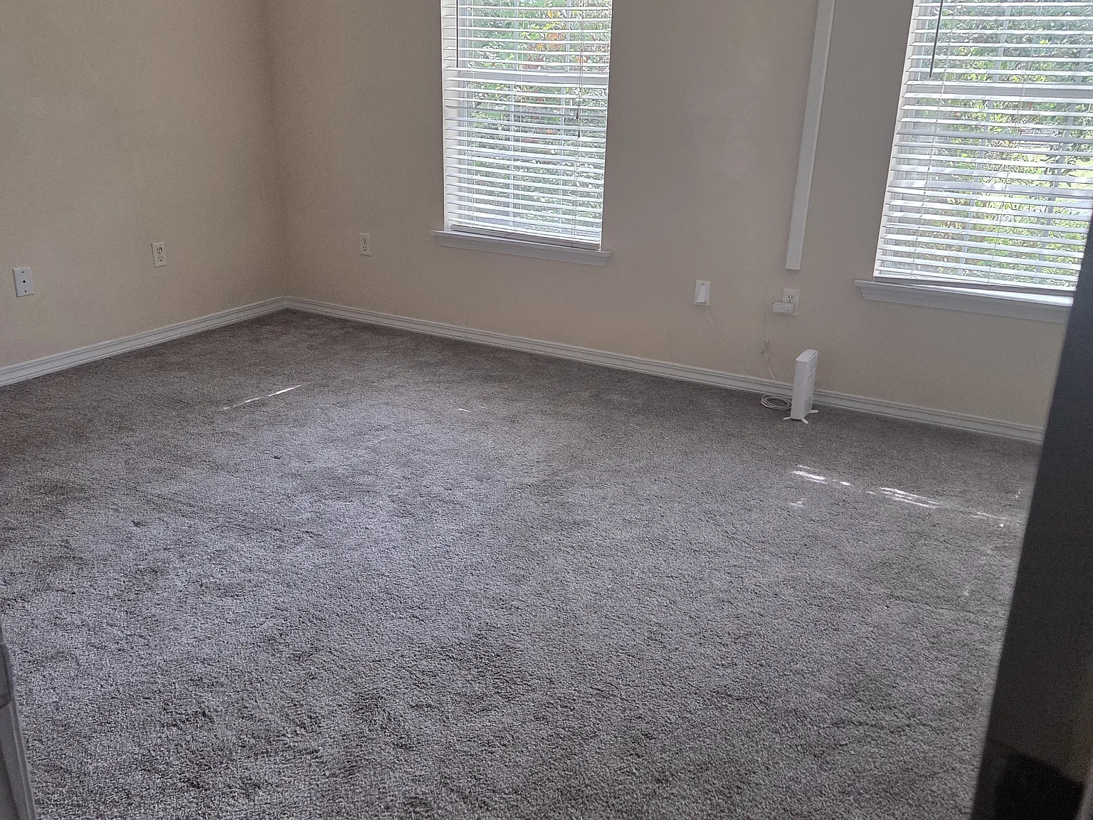 3 bed, 1650 sqft, $800 — Photo 4