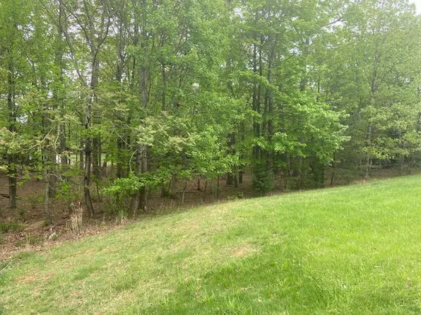 2 Chesney Pl, Blue Ridge, VA 24064