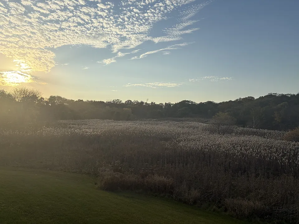 Outdoor View