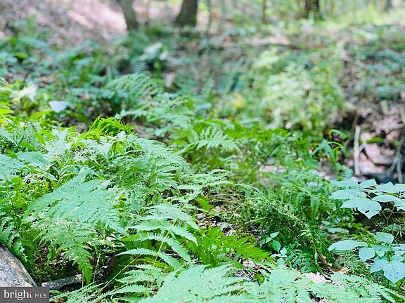 5th image of 914 Plains Rd