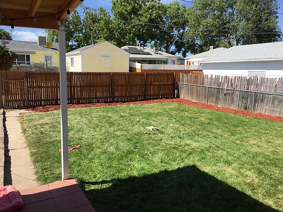 Back yard, freshly mulched and sodded