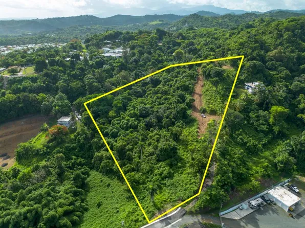 Lote 17 Prairie Km #858-1.8, Dorado, PR 00646