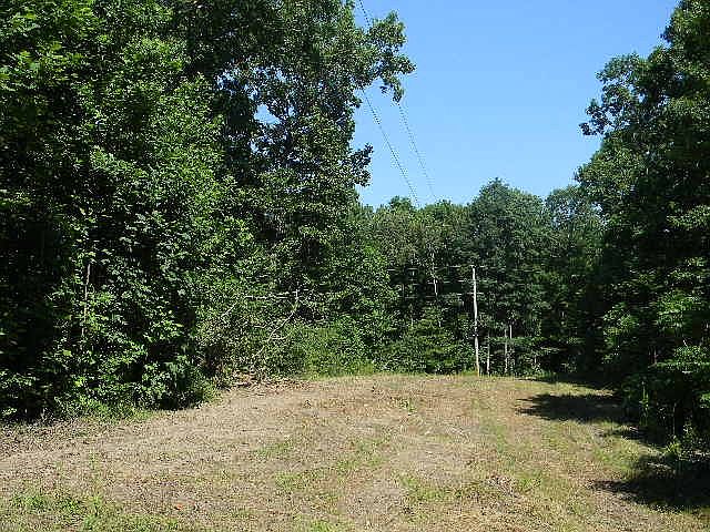 2nd image of 0 Mount Zion Ln N