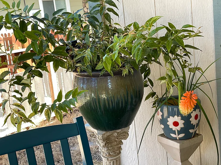 Helm Pl — Photo 17