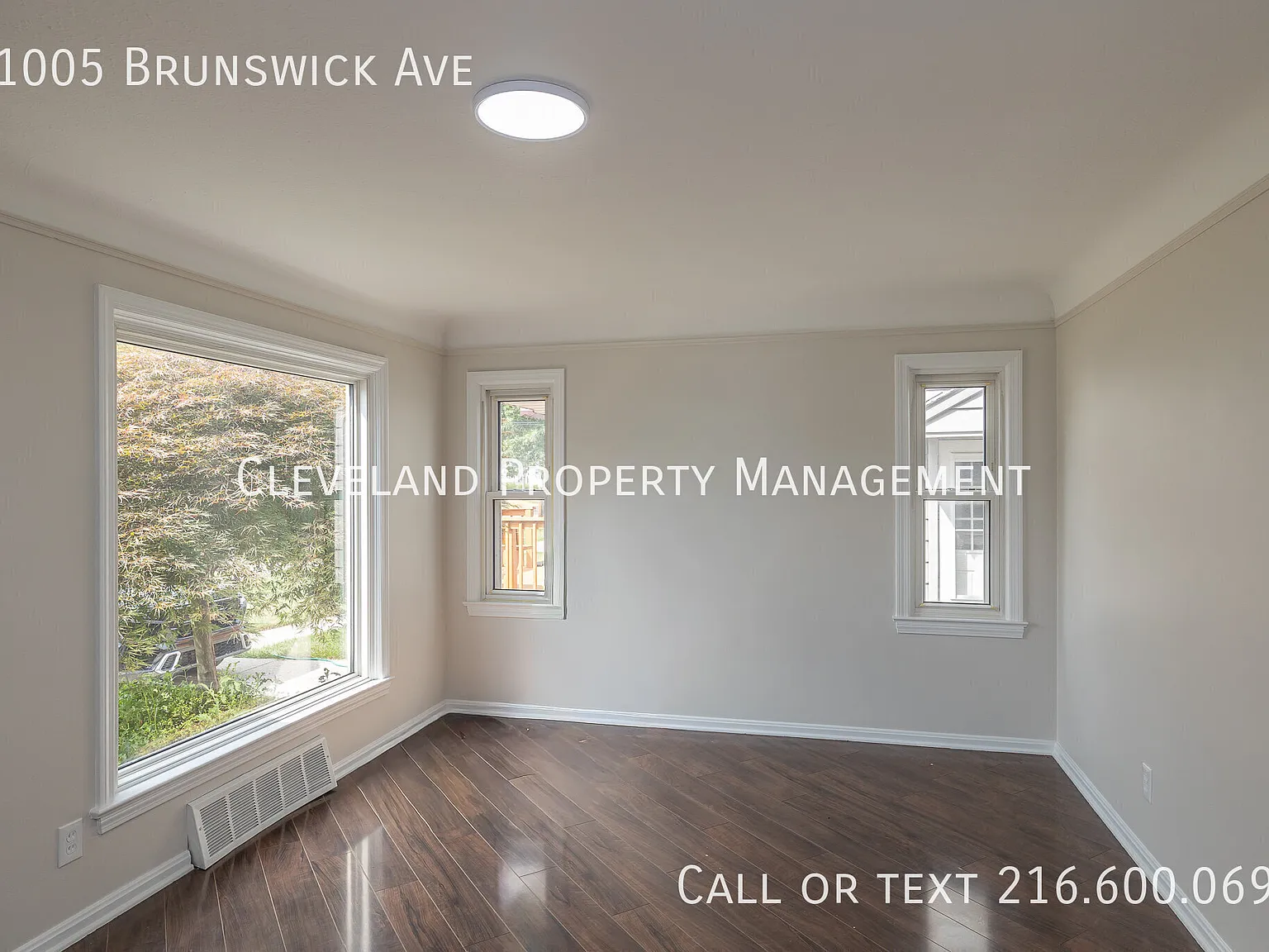 3 bed, 1206 sqft, $1,550 — Photo 4