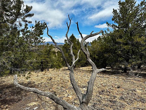 5th image of 10358 Browns Creek Lane LOT 40