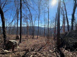 9 Old Horse Mountain Rd, Covington, VA 24426