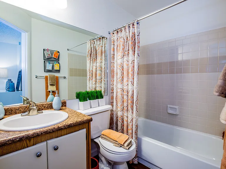 Ceramic Tile Tubs and Showers