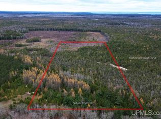 Appleford Rd, Moran, MI 49760