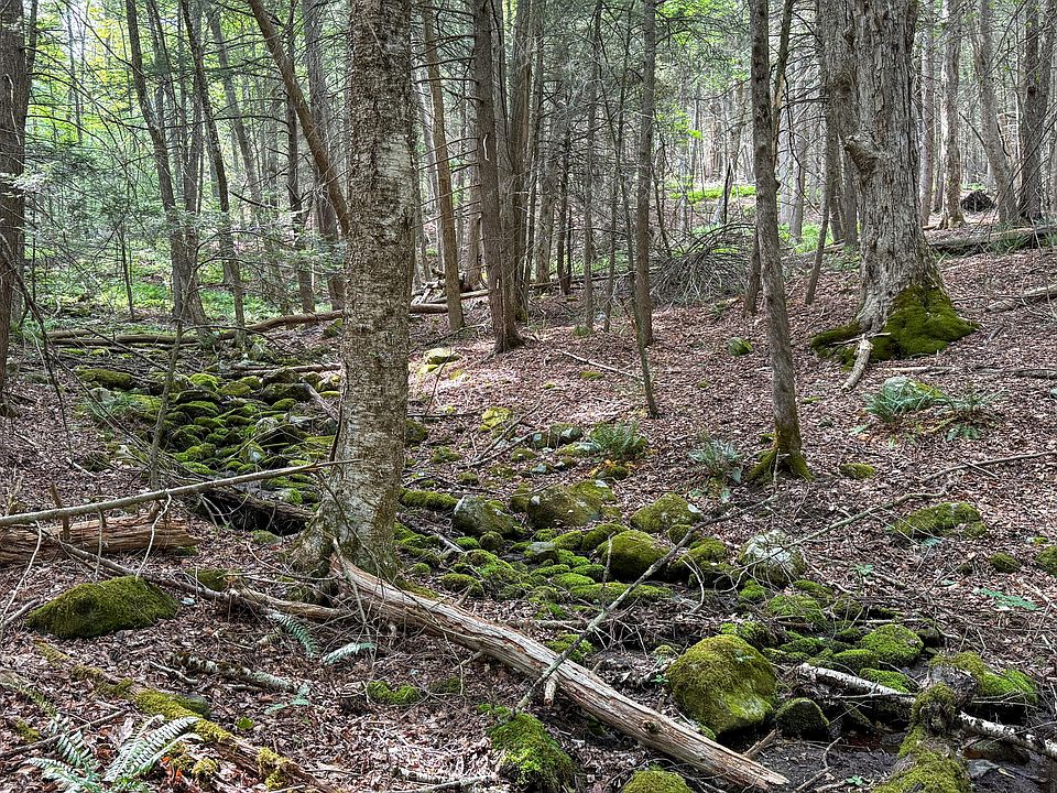 1st image of LOT 35 Deer Run