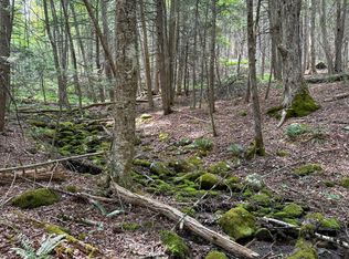 LOT 35 Deer Run, Becket, MA 01223