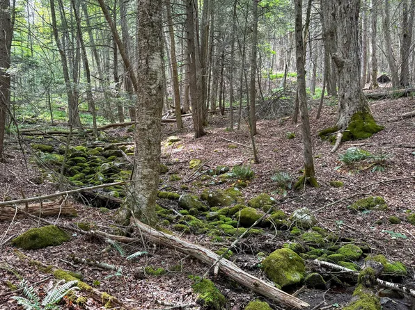 LOT 35 Deer Run, Becket, MA 01223