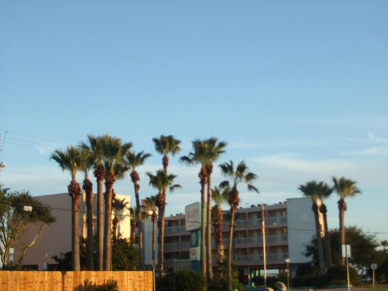 1st image of 3938 Surfside Blvd Unit 3123