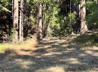 17630 Antelope Dr E, Pioneer, CA 95666