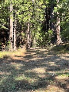 17630 Antelope Dr E, Pioneer, CA, 95666