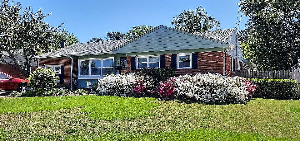 Mature Azaleas all around !