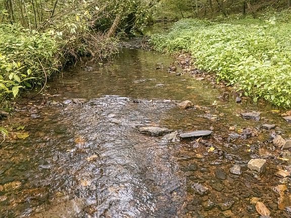 3rd image of 0 Weakley Creek Rd