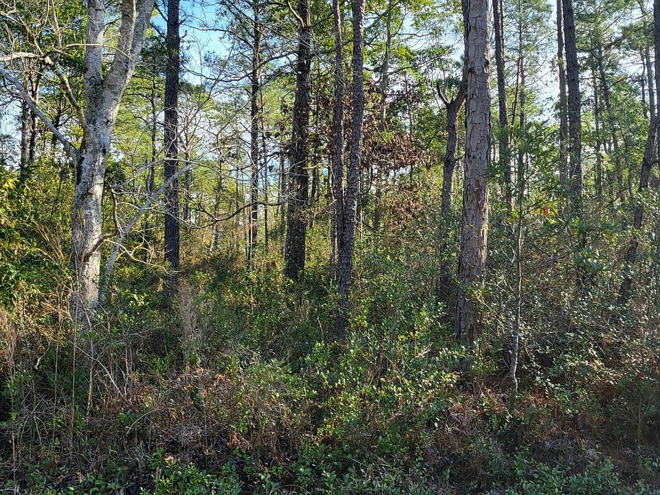 2nd image of 1550 Beech Road