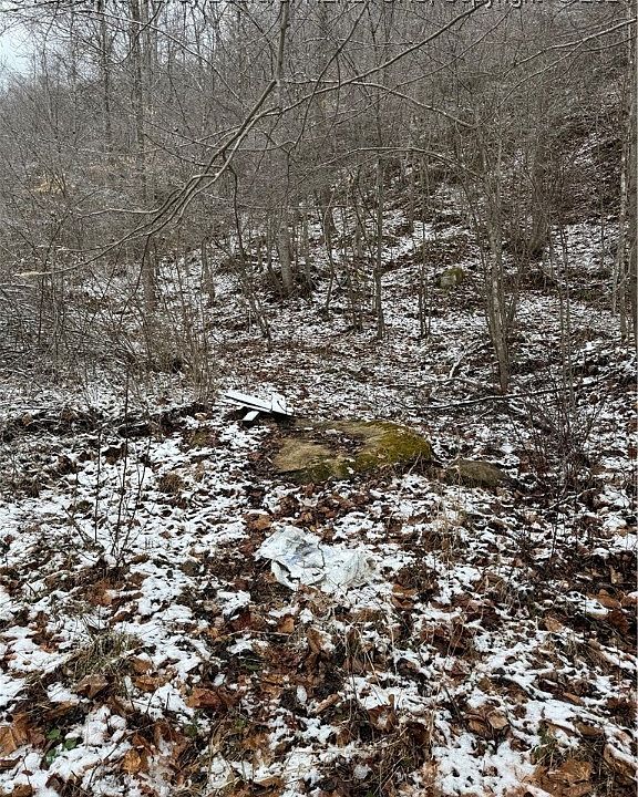 5700 Buck Fork Rd, Harts, WV 25524 Zillow