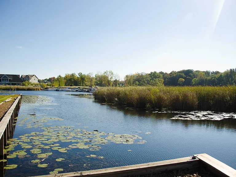 Docks and kayak/paddleboard/canoe launch area