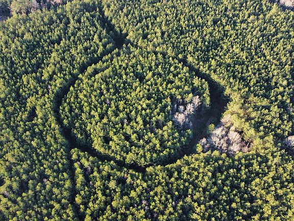 2nd image of Bradley 45 Rd