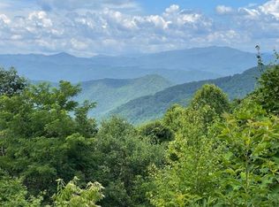 63 The Fls, Bryson City, NC 28713