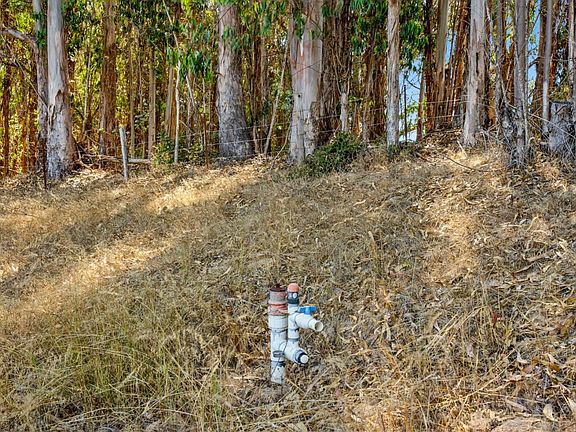 5th image of (Undisclosed Address)